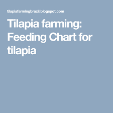 tilapia farming feeding chart for tilapia tilapia