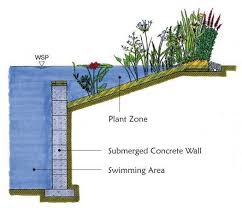 Natural Pools Nz Eco Friendly Natural Swimming Pools Free Of Chemicals Naturally Filtered Pool Plants Natural Swimming Pools Natural Pool