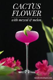 Cactus Flower A Mezcal Melon And Ginger Cocktail Moody Mixologist Recipe In 2020 Ginger Cocktails Mezcal Cactus Flower