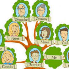 Perkenalan keluarga dalam bahasa inggris dan artinya. Family Tree Anggota Dan Sisilah Keluarga Dalam Bahasa Inggris Artinya