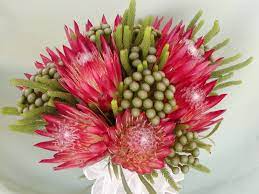 Protea Fondant Tutorial Google Search Hand Tied Bouquet Protea Flower Flora Flowers
