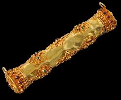 Image result for Triumfetta amuletum