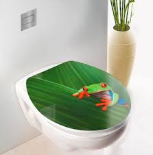 Toilet was originally a french loanword (first attested in 1540) that referred to the toilette (little ^ the french eau de toilette. Wc Sitze Und Toilettendeckel Bei Roller Gunstig Online Kaufen