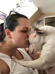 Vacation ideas for families with young children