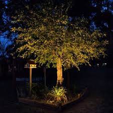 Gain added living space with professionally designed and installed outdoor lighting that creates outdoor spaces perfectly suited for dining, entertaining, or recreation.; Great Tree Uplighting With Volt S In Ground Well Lights Landscape Lighting Landscape Lighting Front Yard Landscape