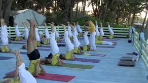 Together, we'll witness the emergence of smart and confident teachers as well as wise and thoughtful practitioners. Yoga Teacher Training Course Ttc Youtube