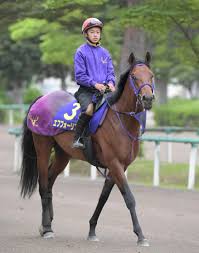 本馬は2018年3月10日に ノーザンファーム で生まれ、 キャロットクラブ で「ケイティーズハートの2018」として募集総額2800万円（1口出資額7万円）で募集された 。 2歳（2020年） 8月23日札幌の2歳新馬戦（芝2000m）に鞍上 横山武史 で出走。 Yqlhustarcomkm