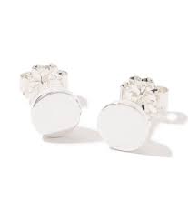 Image result for Olea chimanimani