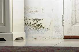 Maybe you would like to learn more about one of these? Easy To Do Solutions To Get Rid Of Musty Smell In House Home Quicks