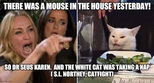 Woman Pointing At Cat Cat Memes Smudging White Cat Meme