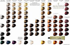 16 Interpretive Redken Hair Toner Color Chart