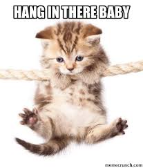 Hang In There Cat Memes