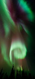 Northern Lights In Canada Aurora Borealis Really Wanna See This One Day Soon Aurora Auroraborealis Borealis Ca Aurora Borealis Aurora Northern Lights