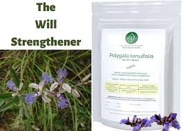 Image result for Polygala schinziana