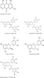 Image result for Voacanga pachyceras