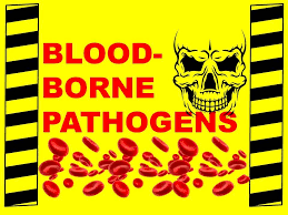 Bloodborne pathogens training— presentation transcript: Bloodborne Pathogens Workplace Dangers And Disease Prevention Health Safety Training Video Youtube