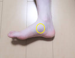 かしわだ接骨院