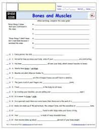 Free Differentiated Worksheet For The Bill Nye The Science Guy Bone And Muscle Episode Free Worksheet Video Guide Worksheets Free Science Guy Bill Nye