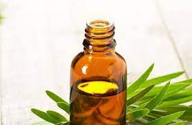 20 Sorprendentes Usos Del Aceite De Te Tea Tree Essential Oil Tea Tree Oil For Acne Tea Tree