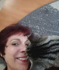 Dog & Cat Veterinarians