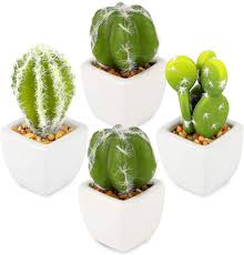 One can find several species of cacti namely, san pedro cactus, prickly pear, peyote. Amazon Com Artisulent Artificial Succulent Plants Artificial Cacti Arrangement Set Of 4 Mini Fake Cactus For Home Decor And Office Decoration Kitchen Dining