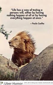 Inspirational Quotes: Quote of the day | Funny Pictures, Quotes ... via Relatably.com