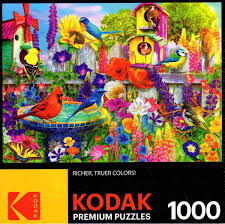The interlocking tiles were a. Amazon Com Kodak Bird Bath Garden By Lars Stewart 1000 Piece Puzzle Patio Lawn Garden