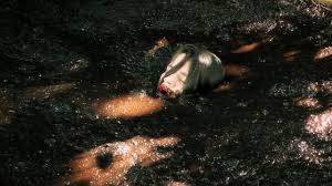 Old Abandoned House: Angel: What surprises can await in an abandoned garden  near an old house? - UMD