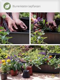 Standort, substrat, pflanzen, gießen und tipps für eine schöne gestaltung. Blumenkasten Bepflanzen Anleitung Diybook At Blumenkasten Bepflanzen Balkon Blumen Blumen