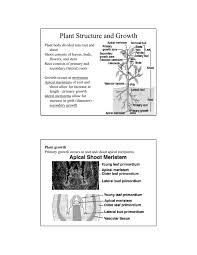 Maybe you would like to learn more about one of these? Plant Structure And Growth