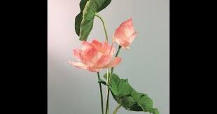 Pin On Crepe Paper Flowers