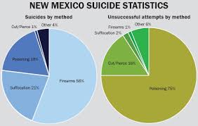 another look at new mexico suicide statistics conditional