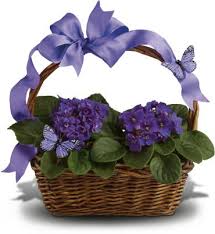 Everyone loves the smell of fresh flowers. Violets And Butterflies Sold Out Hamburg Ny Florist Same Day Flower Delivery For Any Occasion