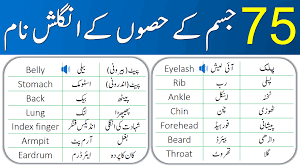 Human body parts name in urdu for kids and basic english vocabulary learners. Parts Of Body For Kids With Urdu Meanings Engrary