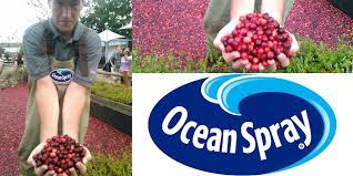 Ocean Spray S Cranberry Harvest Bog Returns For The 20th Epcot International Food Wine Festival The Disney Blog