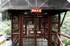 You will need at least 2 hours to tour the park so make sure to arrive before 4:00pm. Kl Bird Park World S Largest Free Flight Walk In Aviary