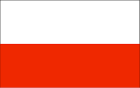 Image result for polish flag