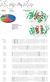 Figure 7 From The Shikimate Pathway Review Of Amino Acid