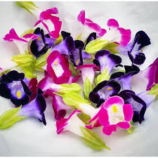 The bloom room also offers a wide array of dried floral options. Very Vibrant Edible Flowers Freshly Picked F 2177 3434