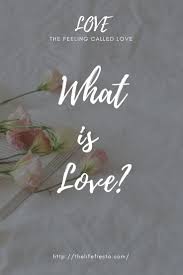 What Is Love Definition Of Love The Life Fiesta What Is Love Definition What Is Love Definition Of Love