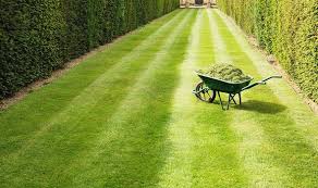He is a friendly and honest landscaper. Alan Titchmarsh Hits Out At Monty Don Over Lawn Care Tips On Good Morning Britain Express Co Uk