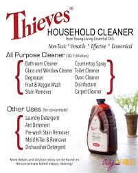 young living thieves cleaner charming charis