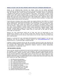 Wareysi xasaasi abwaan sangub oo sheegay raggii basaasey iyo waxa maraykanku ka rabo. Doc Boqolka Qof Ee Somali Ugu Caansan Docx Abdullahi Osman Aden Academia Edu