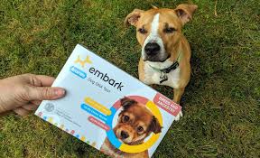 Embark Dna Test Review Breed Identification Kit 2021 Review
