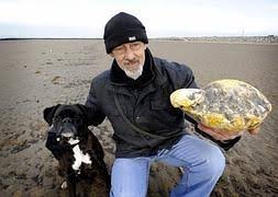 Son dos las razones del uso del ámbar gris para la. Vomito De Ballena A Precio De Oro Hoy
