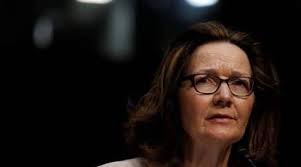 CIA concerned about potential contacts between extremists and Pak nuclear  scientists: Haspel