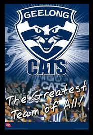 Find news about geelong cats and check out the latest geelong cats pictures. Afl Geelong Cats Logo Geelong Football Club Posters Framed Ebay
