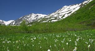 みんなで創るHAKUBAVALLEY八景” Instagramフォトコンテスト