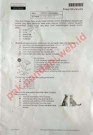 We did not find results for: Download Soal Un Biologi Sma Tahun Pelajaran 2014 2015 Paket Soal 2 Blog Pak Pandani