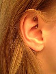Rook Piercing Piercing Rook Ear Piercings Rook Ear Piercings Facial Piercings